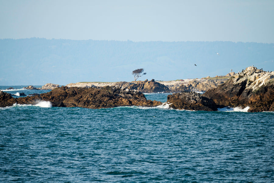 17 Mile Drive Coastal Lookout