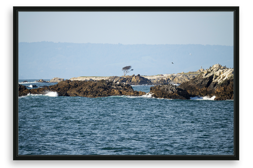 17 Mile Drive Coastal Lookout