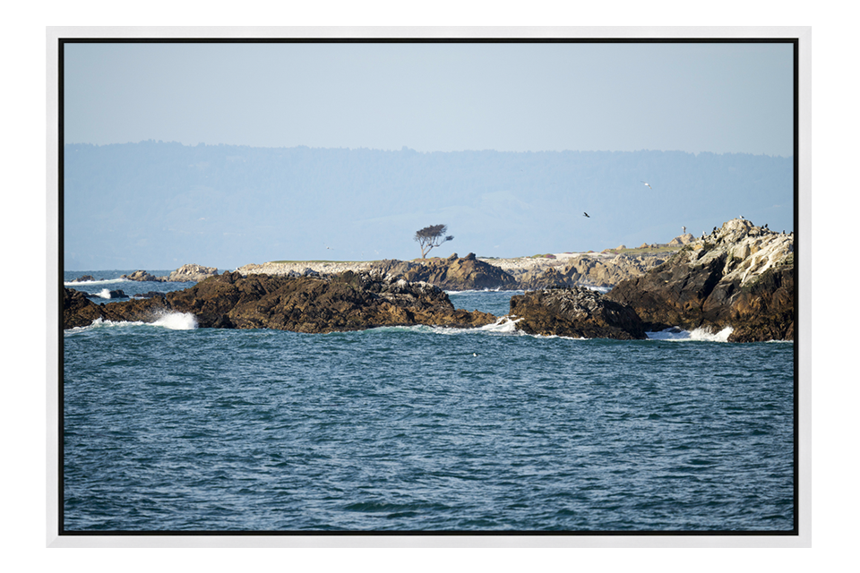 17 Mile Drive Coastal Lookout