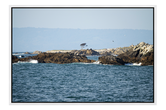17 Mile Drive Coastal Lookout