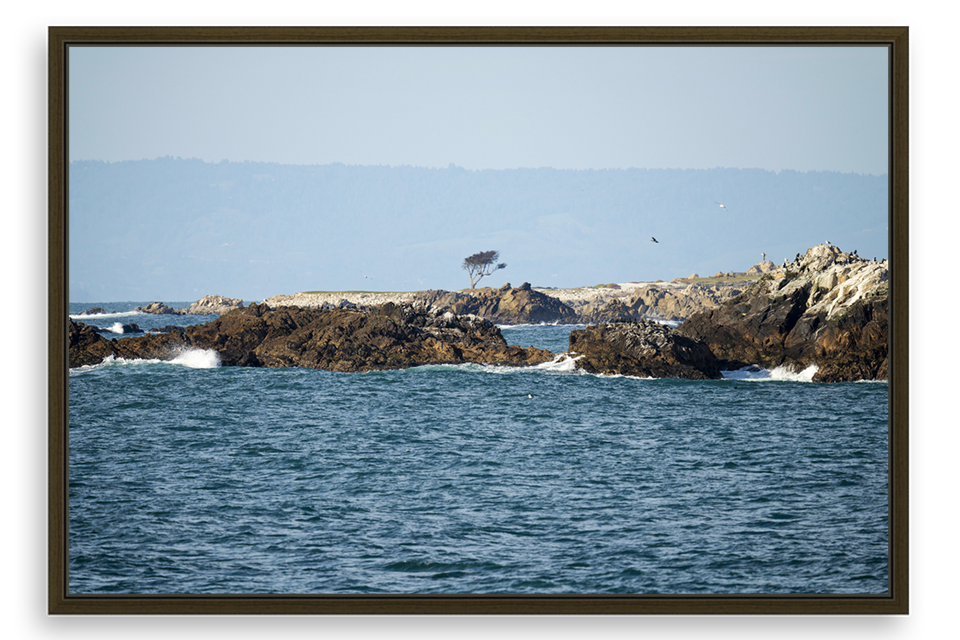 17 Mile Drive Coastal Lookout