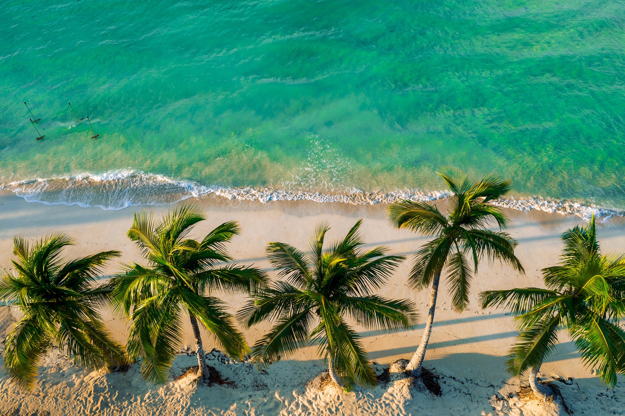 Wilderness Framed Metal Prints