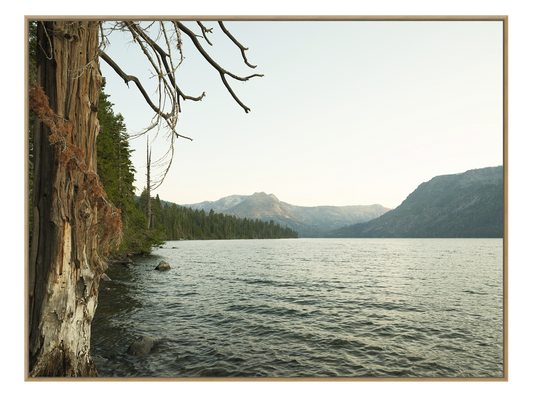 Fallen Leaf Lake Wilderness