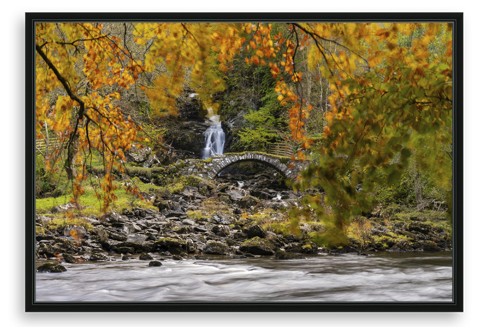 Roman Bridge Fall Colors
