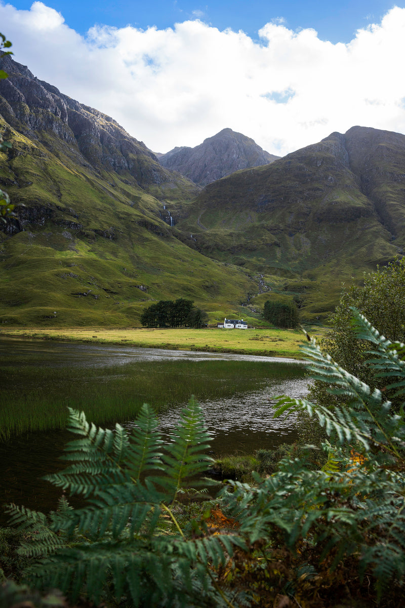 Glencoe Waterfall Cottage Through The Ferns