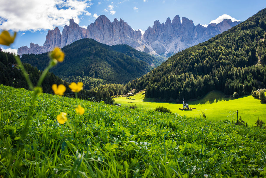 Val Di Funes Flowers