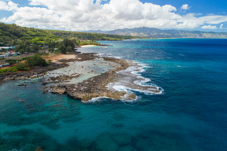 Sharks Cove Looking West