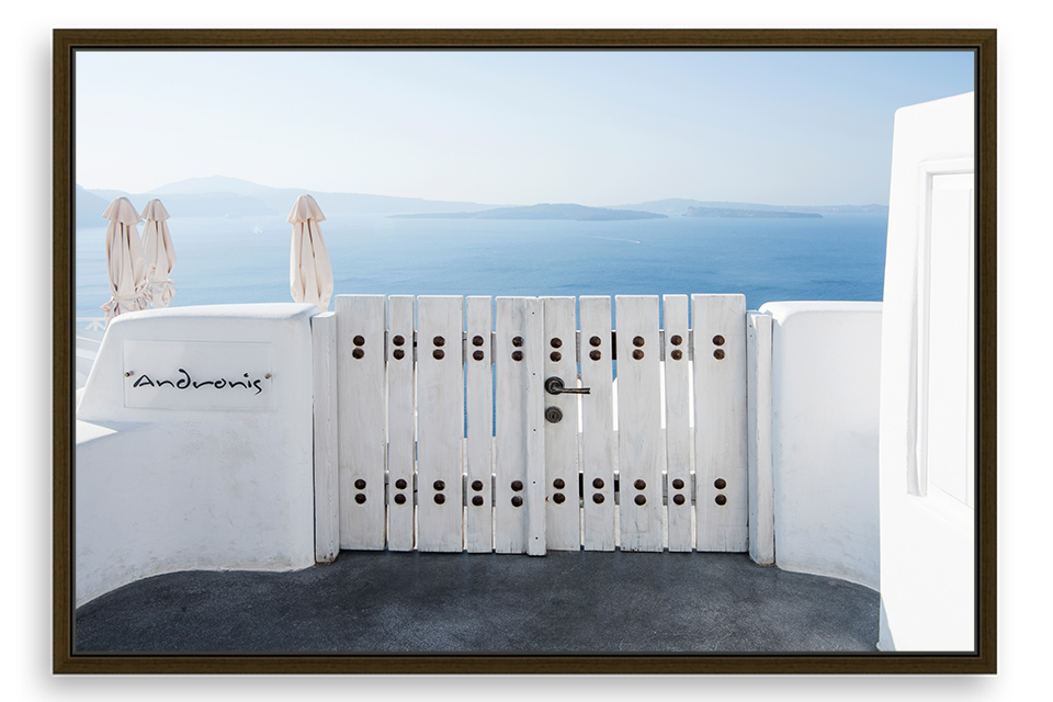Andronis