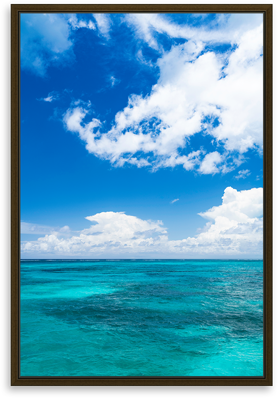 Balmoral Skys