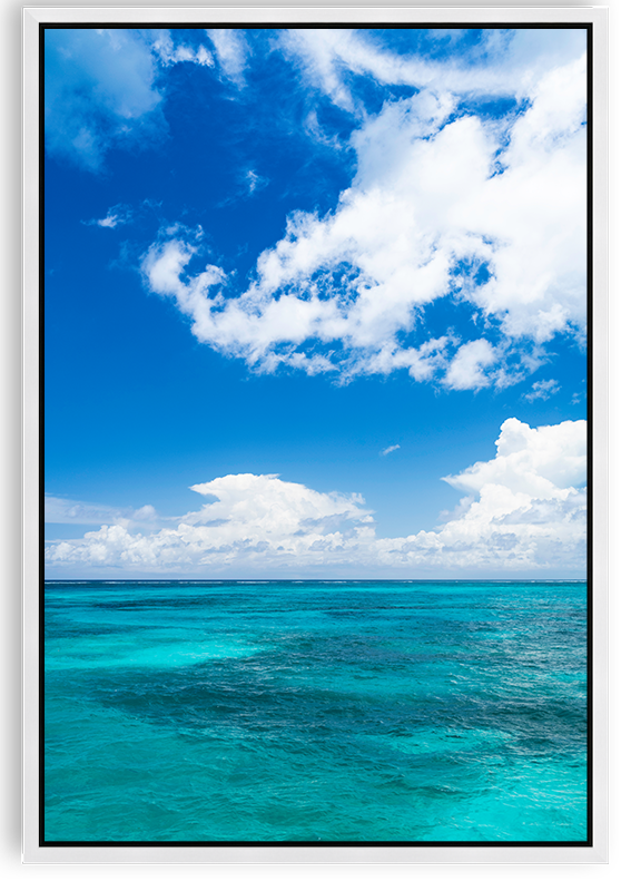 Balmoral Skys