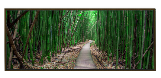 Bamboo Forest Maui