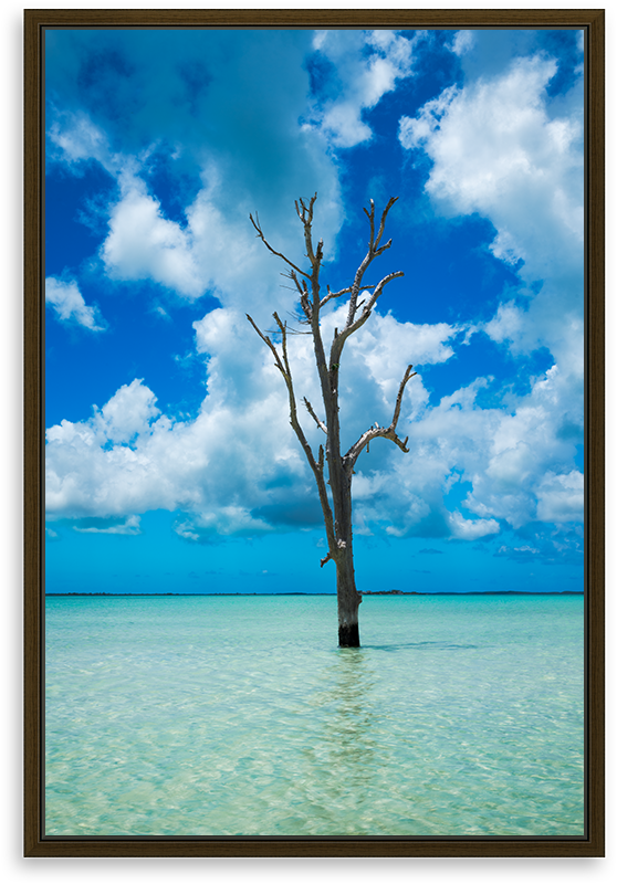Lone Tree Harbour Island