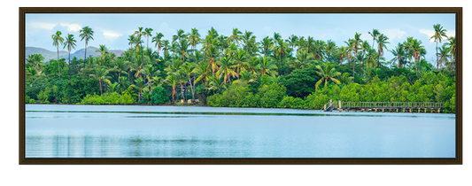 Fiji Palms Panorama