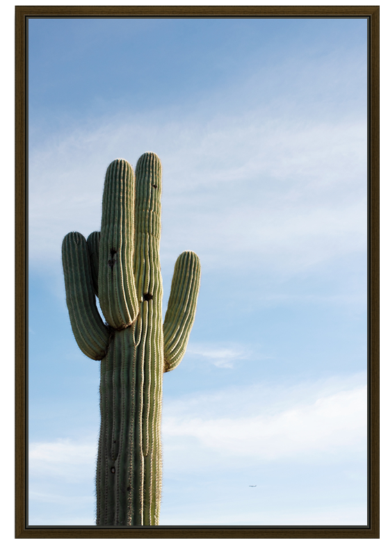 Saguaro In The Sky
