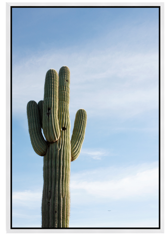 Saguaro In The Sky
