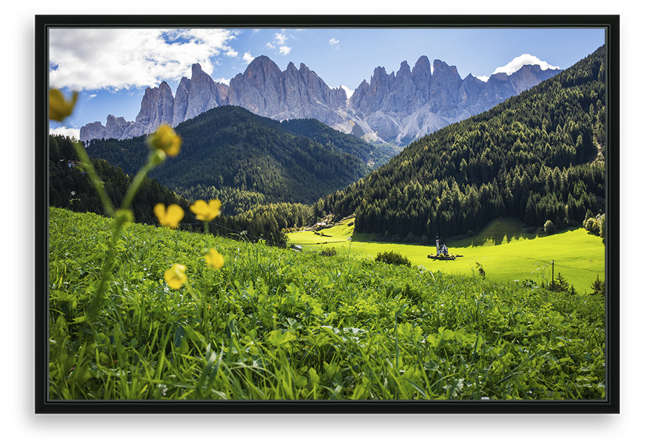 Val Di Funes Flowers