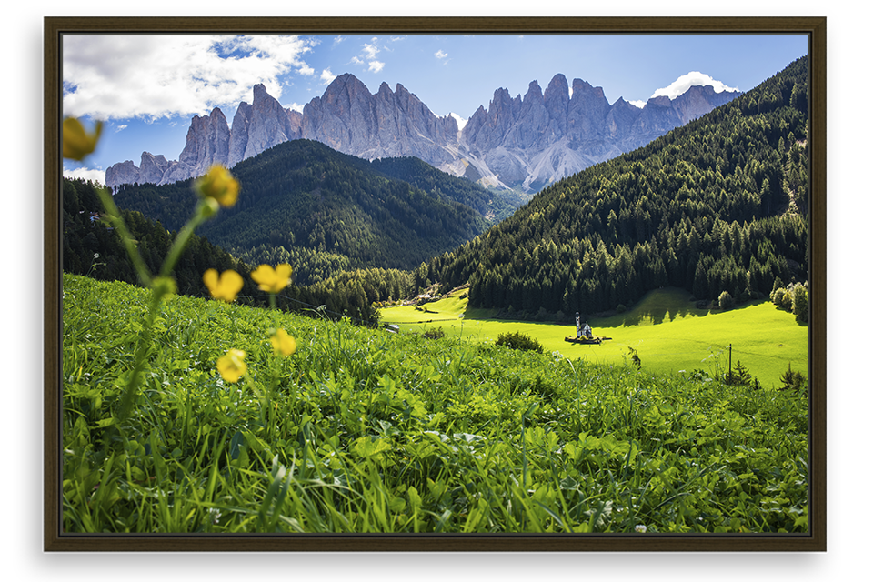 Val Di Funes Flowers