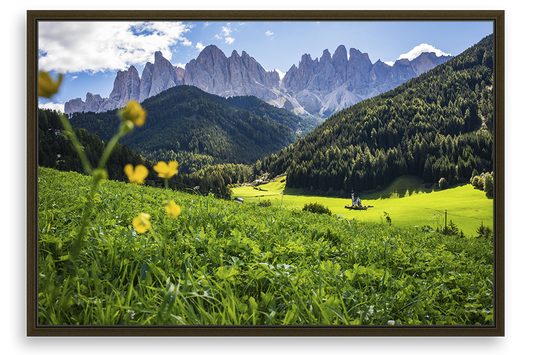 Val Di Funes Flowers