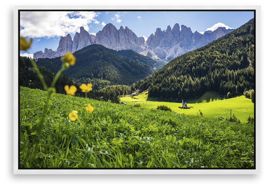 Val Di Funes Flowers