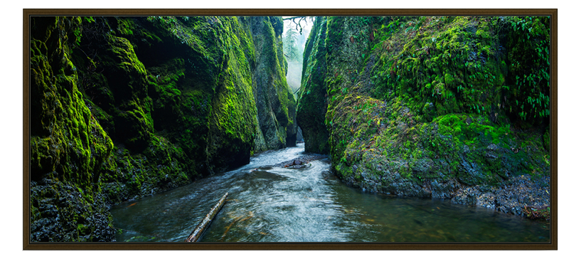 Misty Canyon