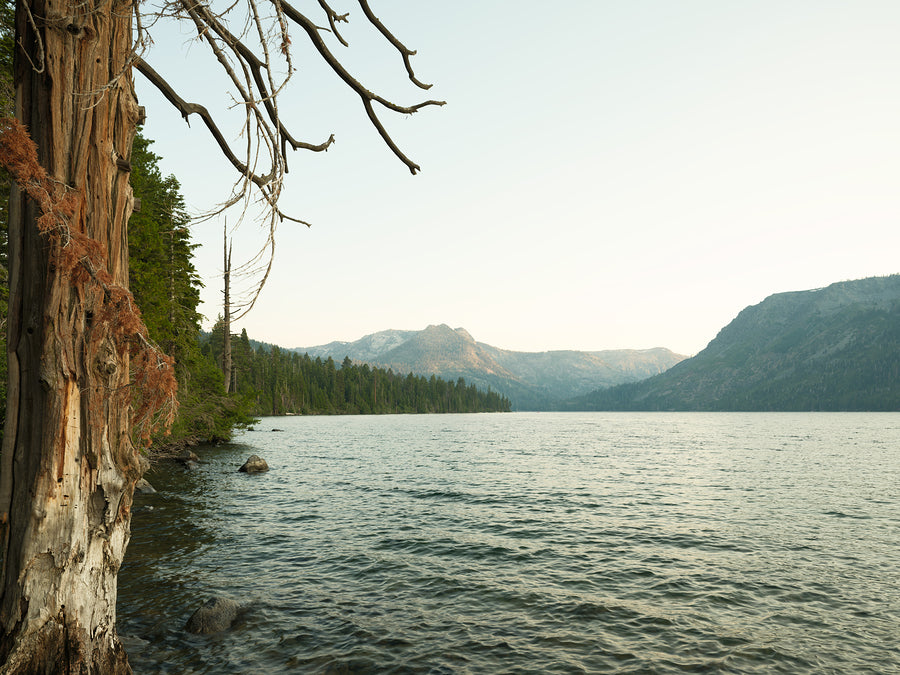 Fallen Leaf Lake Wilderness