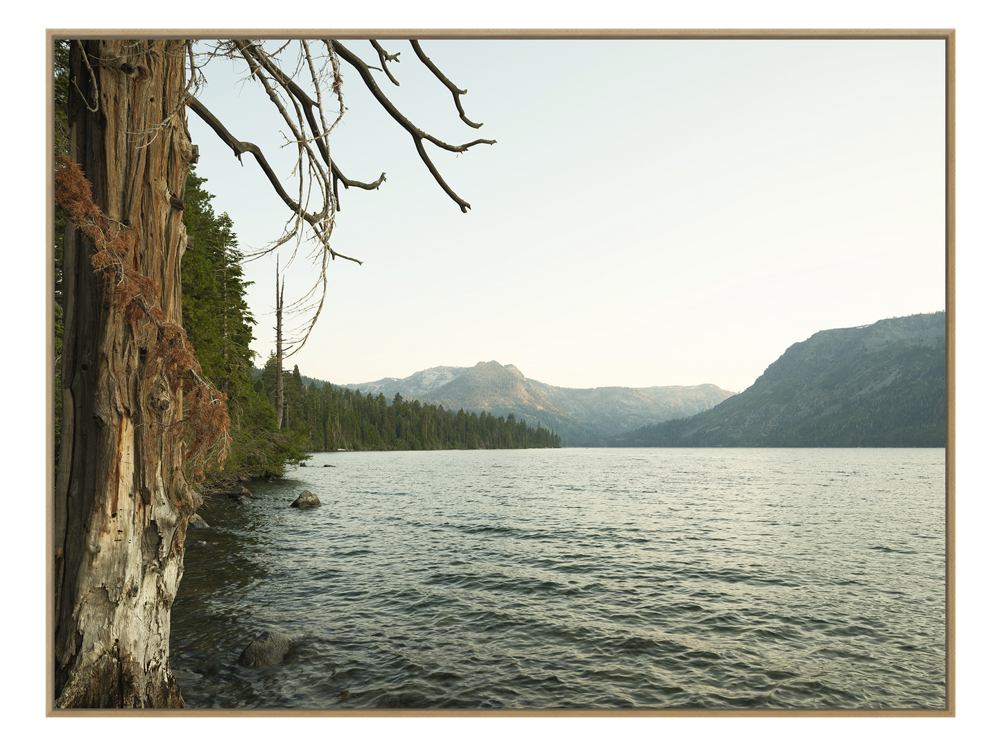 Fallen Leaf Lake Wilderness