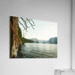 2411086 :: Acrylic Print
