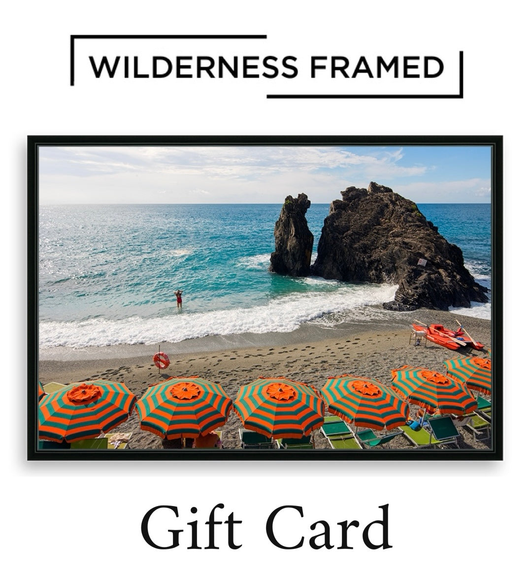 Wilderness Framed Gift Card