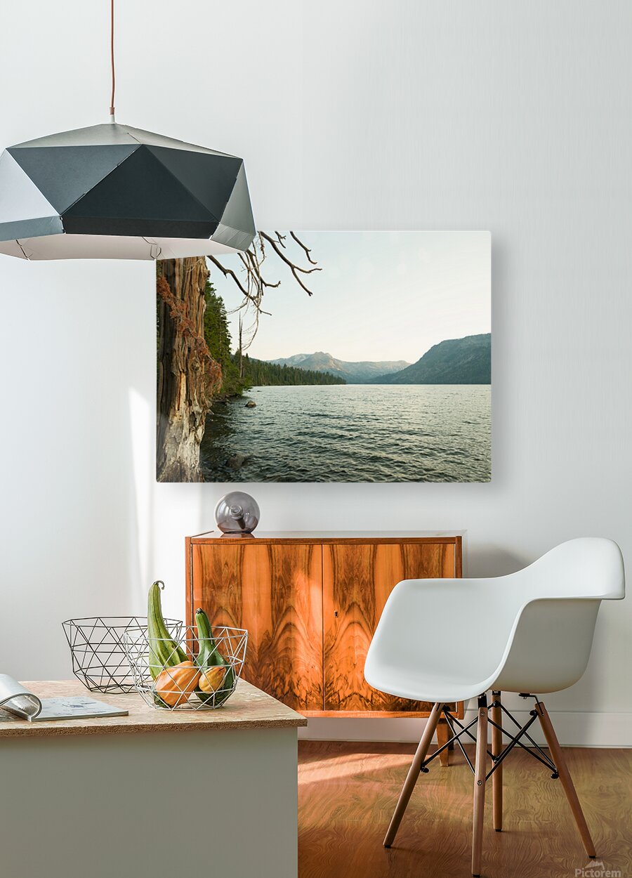 2411086 :: HD Sublimation Metal Print