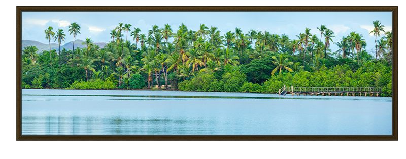 Fiji Palms Panorama